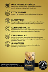 Reflex Plus Poodle Yetişkin Köpek Maması 8 Kg - Thumbnail