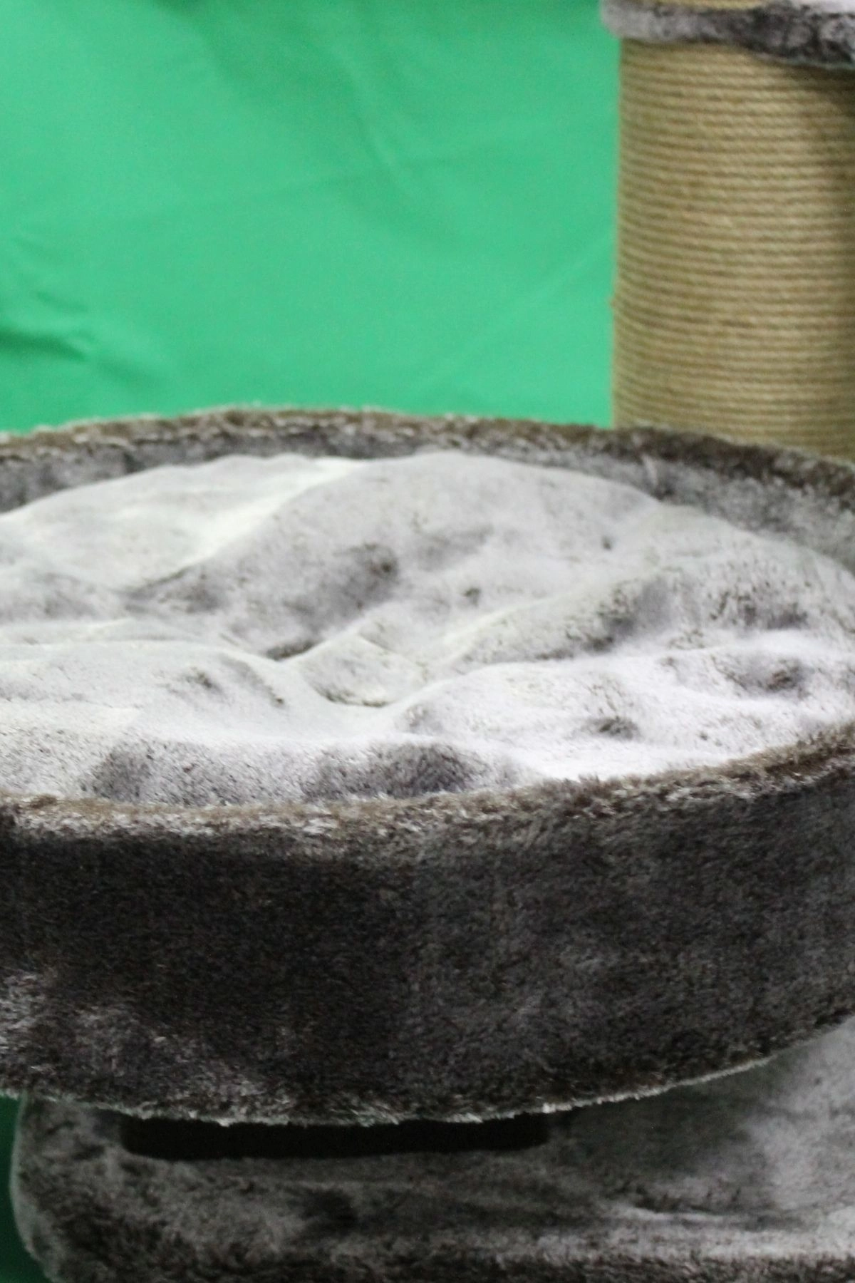 Riga Tırmalamalı Kedi Evi - Thumbnail