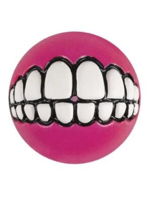 Rogz - Rogz Toyz Grinz Medium Roze