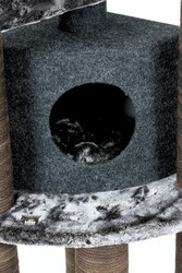 Roma Tırmalamalı Kedi Evi - Thumbnail