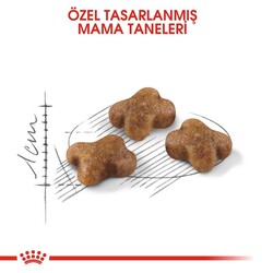 Royal Canin 36 Kitten Yavru Kuru Kedi Maması 10 KG - Thumbnail