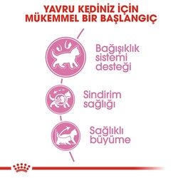 Royal Canin 36 Kitten Yavru Kuru Kedi Maması 10 KG - Thumbnail