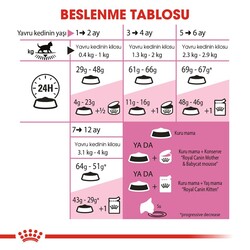 Royal Canin 36 Kitten Yavru Kuru Kedi Maması 10 KG - Thumbnail