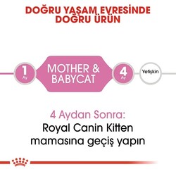 Royal Canin Babycat 34 Yavru Kuru Kedi Maması 4 Kg - Thumbnail