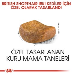 Royal Canin British Shorthair Kedi Maması 2 Kg - Thumbnail