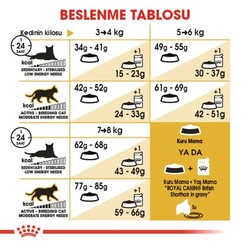 Royal Canin British Shorthair Kedi Maması 2 Kg - Thumbnail