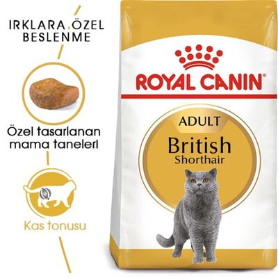 Royal Canin - Royal Canin British Shorthair Kedi Maması 4 Kg