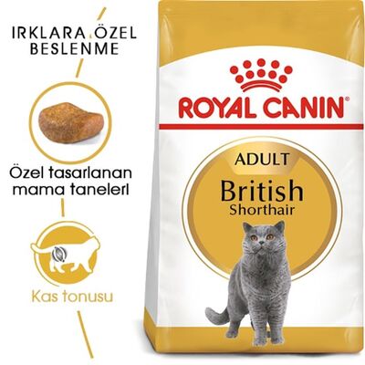 Royal Canin - Royal Canin British Shorthair Yetişkin Kedi Maması 10 Kg