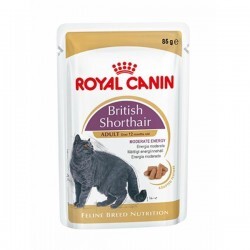 Royal Canin British Shorthair Yetişkin Pouch Kedi Konservesi 12 Adet 85 Gr - Thumbnail