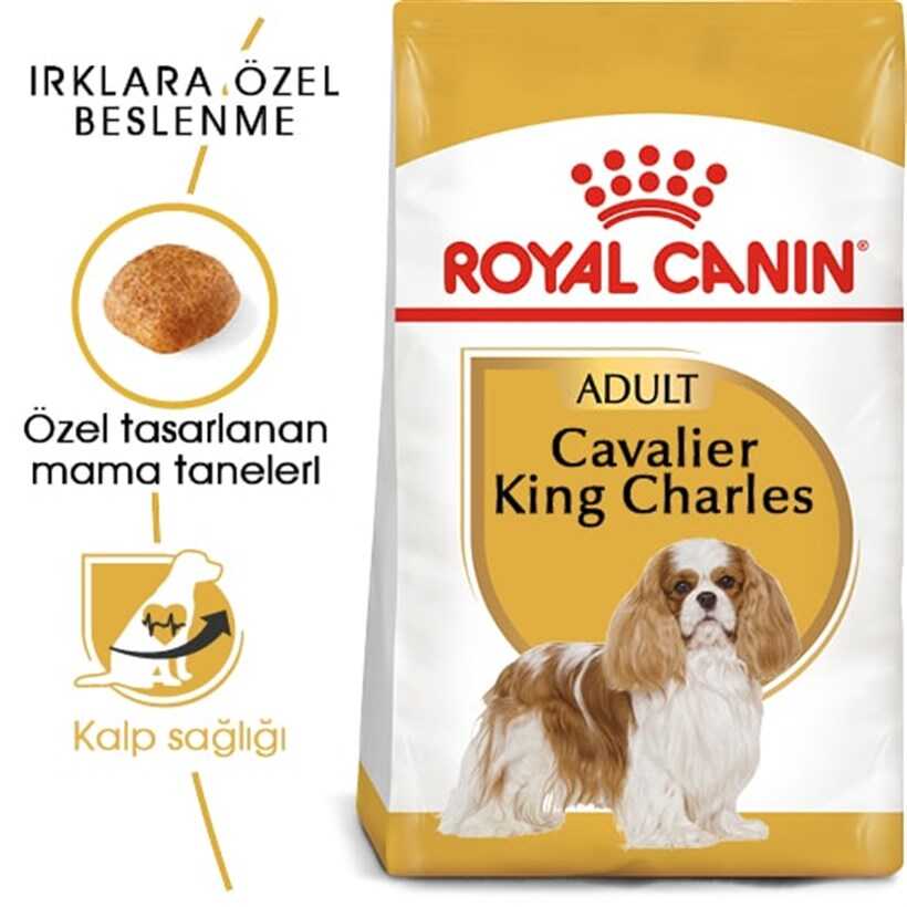 Royal Canin Cavalier King Charles 27 Yetişkin Köpek Maması 3 Kg