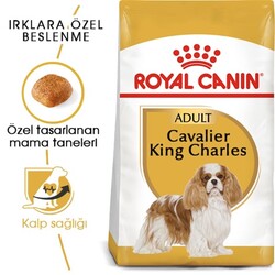 Royal Canin Cavalier King Charles 27 Yetişkin Köpek Maması 3 Kg - Thumbnail