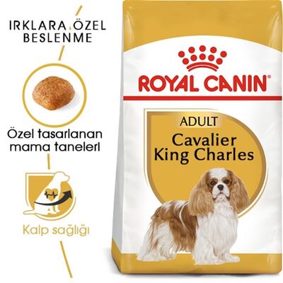 Royal Canin - Royal Canin Cavalier King Charles 27 Yetişkin Köpek Maması 3 Kg