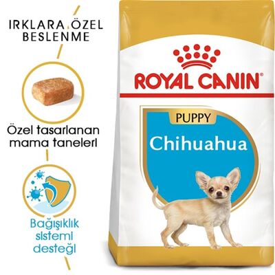 Royal Canin - Royal Canin Chihuahua Junior Yavru Köpek Maması 1,5Kg