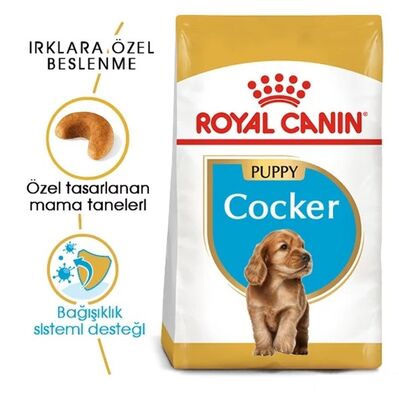 Royal Canin - Royal Canin Cocker Junior Yavru Köpek Maması 3 Kg