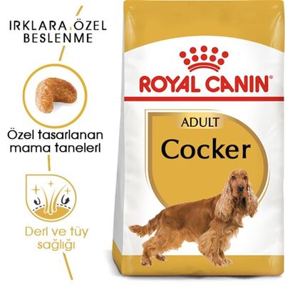 Royal Canin - Royal Canin Cocker Spaniel 25 Adult Yetişkin Köpek Maması 3 Kg