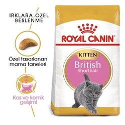 Royal Canin Feline Kitten British Shorthair Yavru Kedi Maması 2KG - Thumbnail
