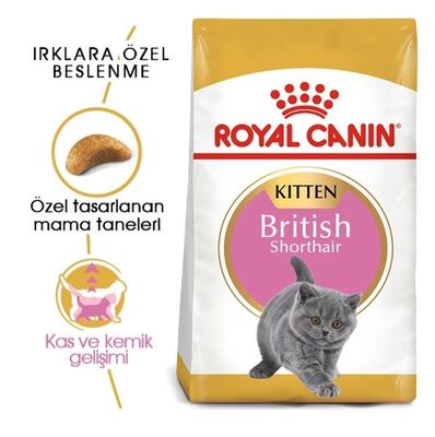 Royal Canin - Royal Canin Feline Kitten British Shorthair Yavru Kedi Maması 2KG