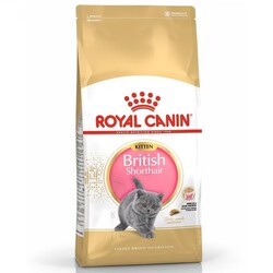 Royal Canin Feline Kitten British Shorthair Yavru Kedi Maması 2KG - Thumbnail