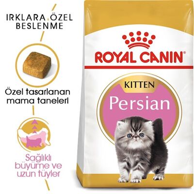 Royal Canin - Royal Canin Kitten Persian Kuru Kedi Maması 2 Kg