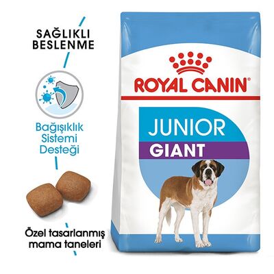 Royal Canin - Royal Canin Giant Junior Dev Irk Yavru Köpek Maması 15 Kg