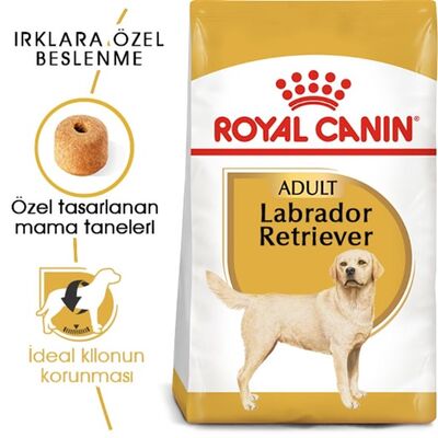 Royal Canin - Royal Canin Labradorlar İçin Köpek Maması 12 Kg