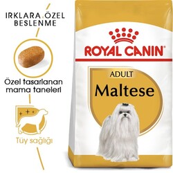 Royal Canin Maltese Bichon Maltais Yetişkin Köpek Maması 1.5 Kg - Thumbnail