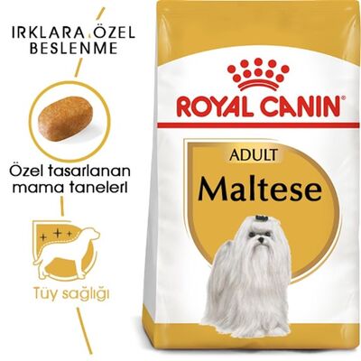 Royal Canin - Royal Canin Maltese Bichon Maltais Yetişkin Köpek Maması 1.5 Kg