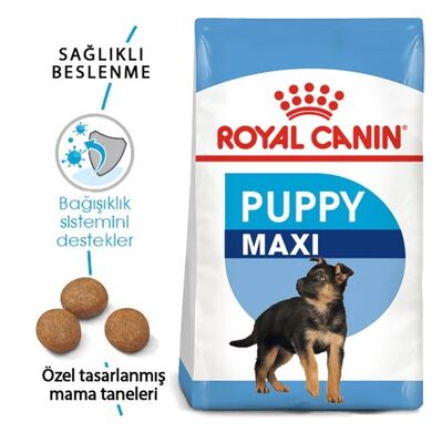 Royal Canin - Royal Canin Maxi Puppy Büyük Irk Yavru Köpek Maması 15 Kg