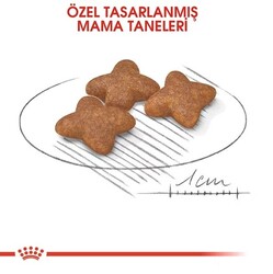 Royal Canin Mini Adult Küçük Irk Köpek Maması 2 Kg - Thumbnail