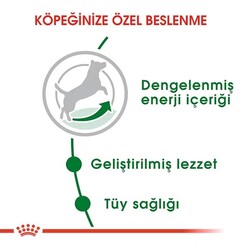 Royal Canin Mini Adult Küçük Irk Köpek Maması 2 Kg - Thumbnail