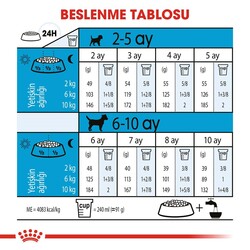 Royal Canin Mini Junior Yavru Kuru Köpek Maması 4 Kg - Thumbnail