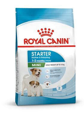 Royal Canin - Royal Canin Mini Starter Mother&Babydog Küçük Irk Yavru Köpek Maması 4kg