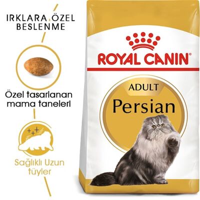 Royal Canin - Royal Canin Persian Adult Kuru Kedi Maması 2 Kg