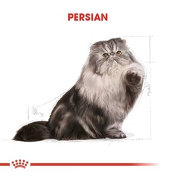 Royal Canin Persian Adult Kuru Kedi Maması 2 Kg - Thumbnail