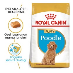 Royal Canin Puppy Poodle Caniche Yavru Köpek Maması 3Kg - Thumbnail