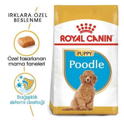 Royal Canin - Royal Canin Puppy Poodle Caniche Yavru Köpek Maması 3Kg