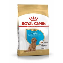 Royal Canin Puppy Poodle Caniche Yavru Köpek Maması 3Kg - Thumbnail