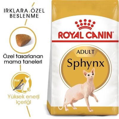 Royal Canin - Royal Canin Sphynx Kedi Maması 2 Kg