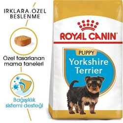 Royal Canin Yorkshire Terrier Junior Yavru Köpek Maması 1,5 Kg - Thumbnail