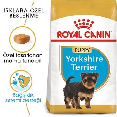 Royal Canin - Royal Canin Yorkshire Terrier Junior Yavru Köpek Maması 1,5 Kg