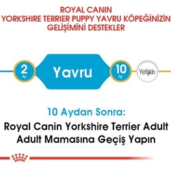 Royal Canin Yorkshire Terrier Junior Yavru Köpek Maması 1,5 Kg - Thumbnail