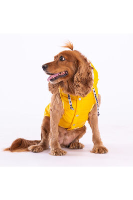 Pawstar - Sarı Railway Yelek Köpek Yeleği Köpek Kıyafeti Köpek Yağmurluk - M