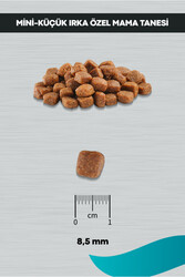 Signature Kuzulu Küçük Irk Yavru Köpek Maması 3 Kg - Thumbnail