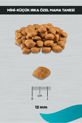 Signature Kuzulu Küçük Irk Yetişkin Köpek Maması -3 Kg - Thumbnail