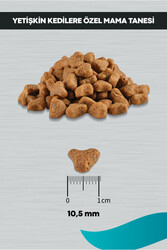 Signature Somonlu Kısırlaştırılmış Kedi 2 kg - Thumbnail