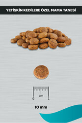 Signature Tavuklu Kısırlaştırılmış Yetişkin Kedi Maması 2 KG - Thumbnail
