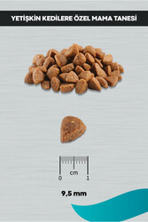 Signature Tavuklu Yavru Köpek Küçük Irk - 12 kg - Thumbnail