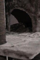 Stockholm Tırmalamalı Kedi Evi - Thumbnail