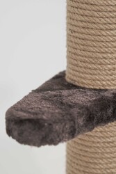 Tekli Tırmalama No1 (66 cm) - Thumbnail