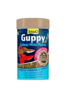 Tetra - Tetra Guppy Colour Mini Flakes Lepistes Pul Balık Yemi - 100ML